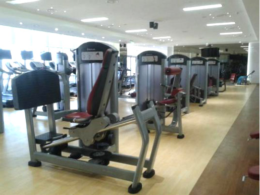 新球体育官方网站图片
